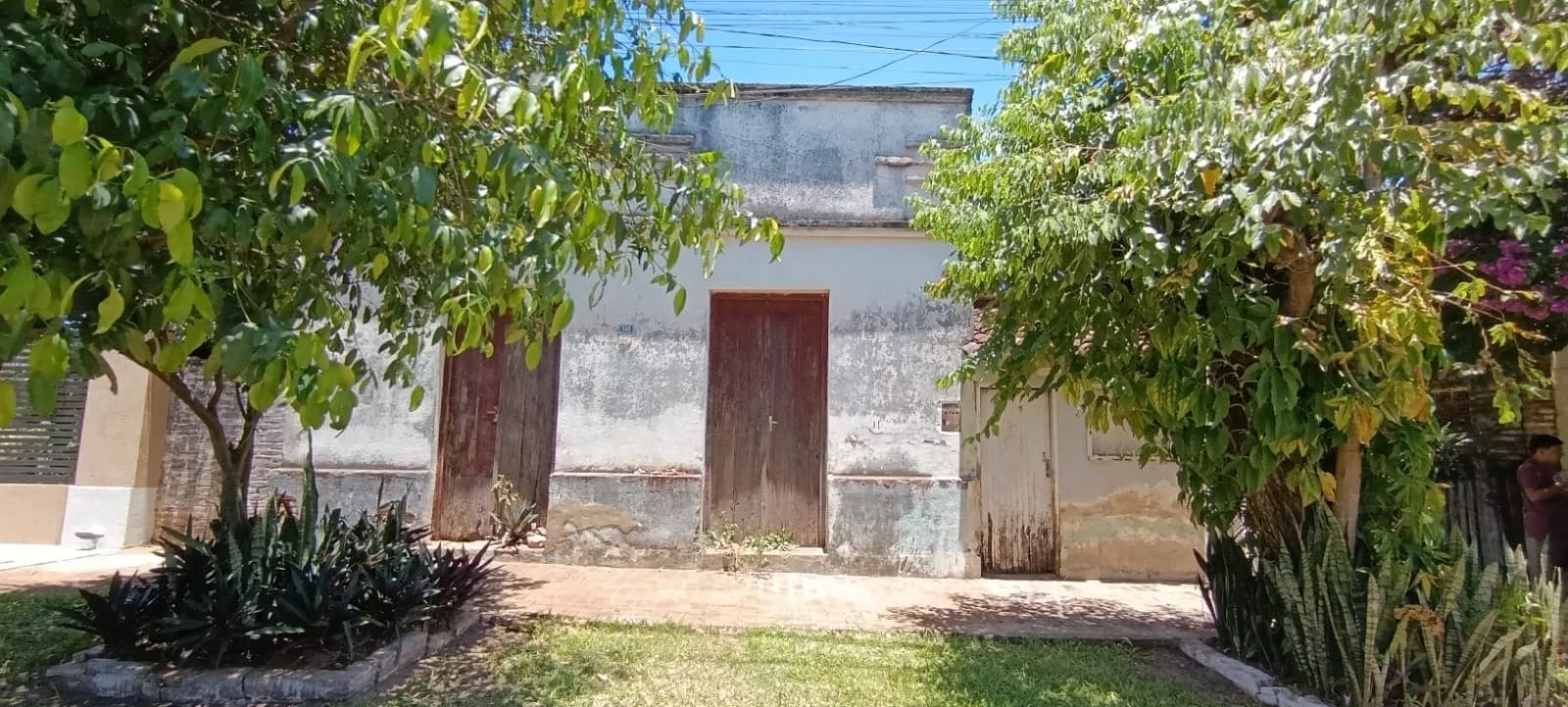 Terreno Premium en Coronel Oviedo: ¡Tu Oasis Espera! 🌳✨