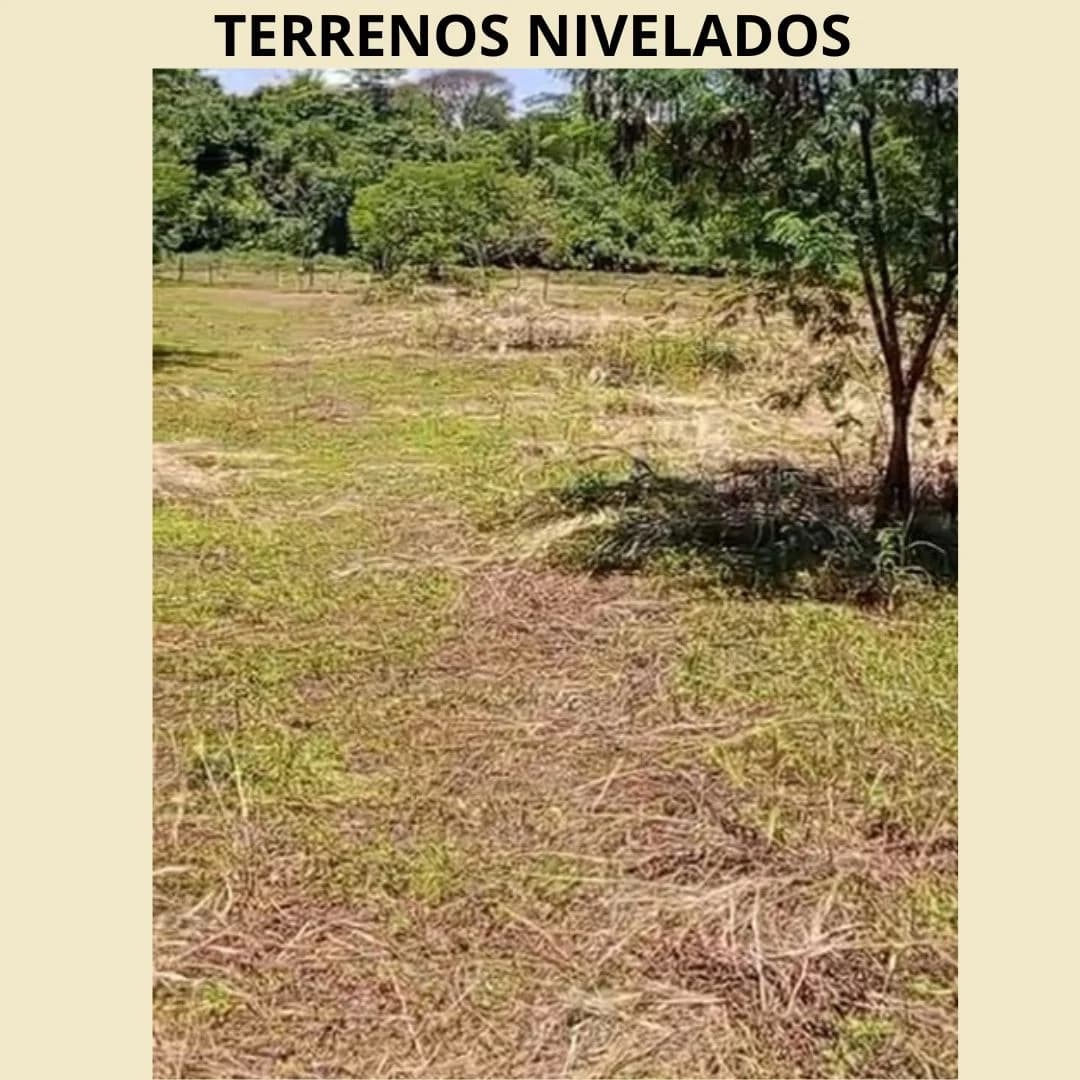 Terreno en Coronel Oviedo - Inversión en Zona Céntrica